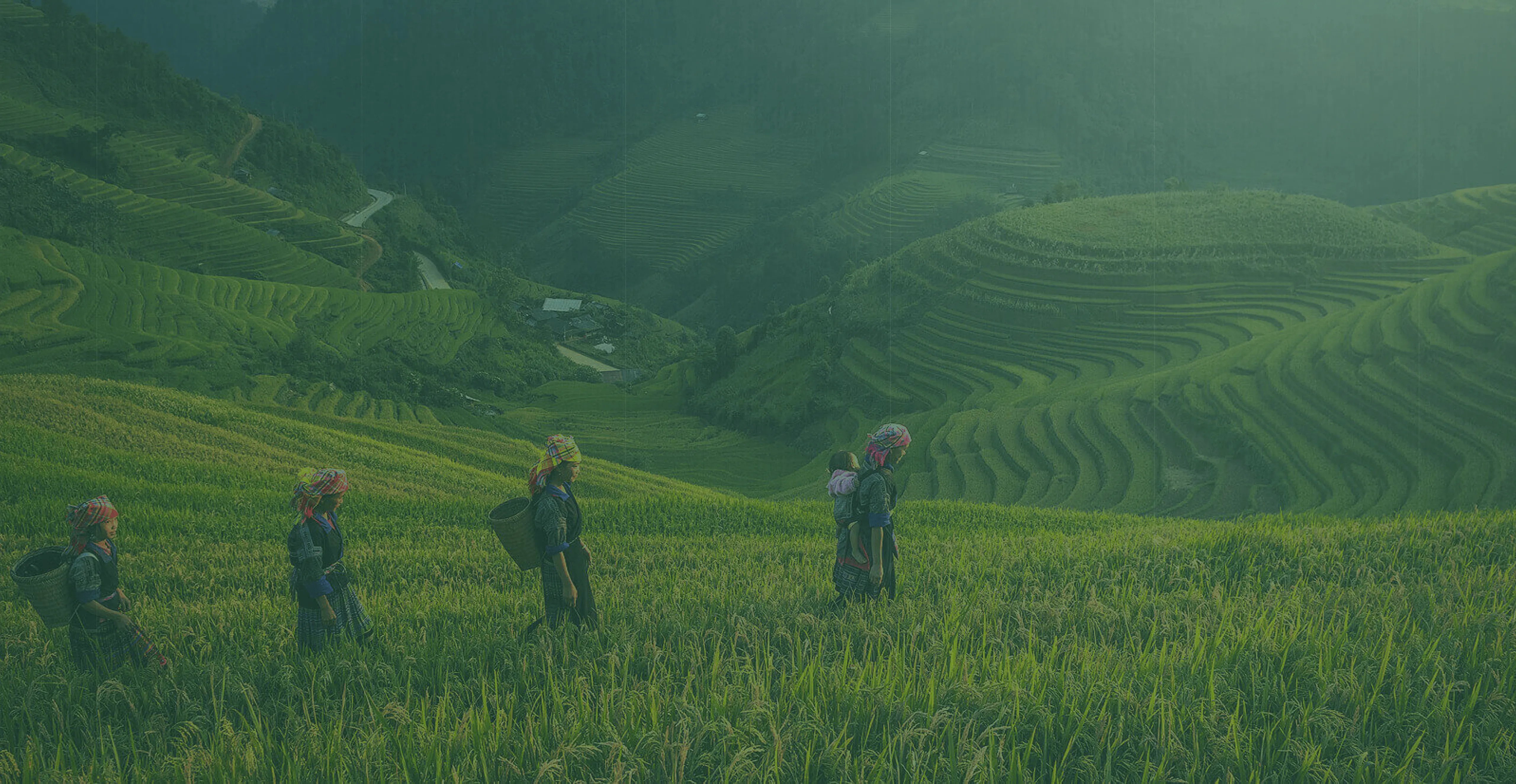 The Benefits of Vitamin D & How to Get It